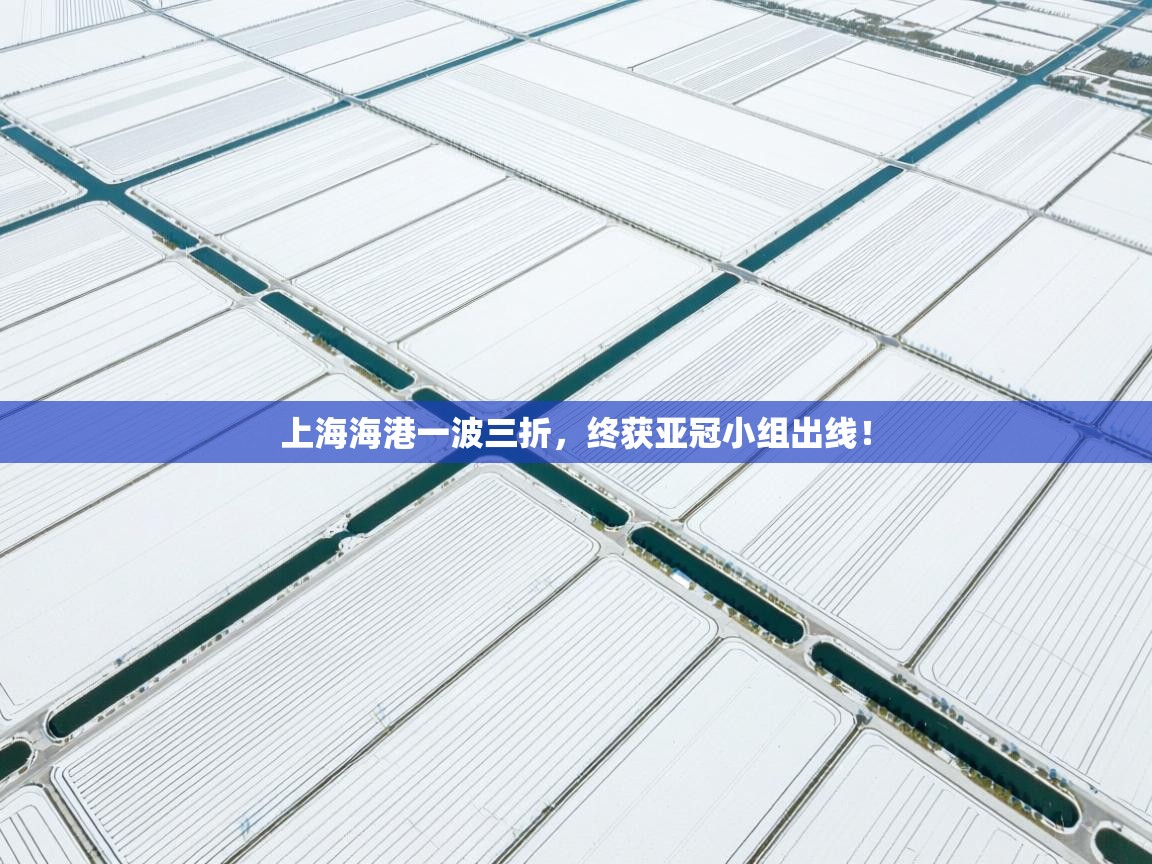 上海海港一波三折，终获亚冠小组出线！  第2张