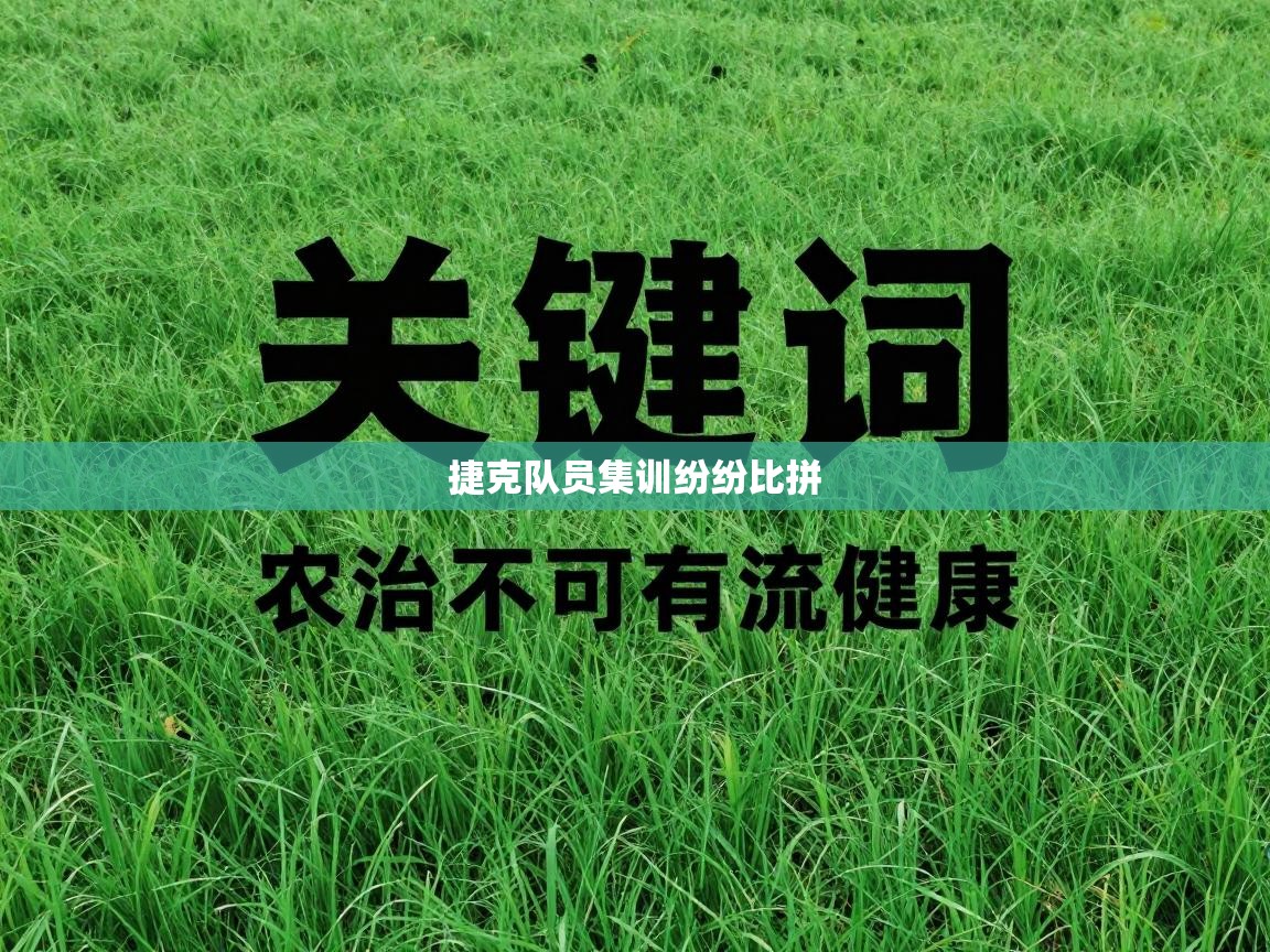 捷克队员集训纷纷比拼  第1张