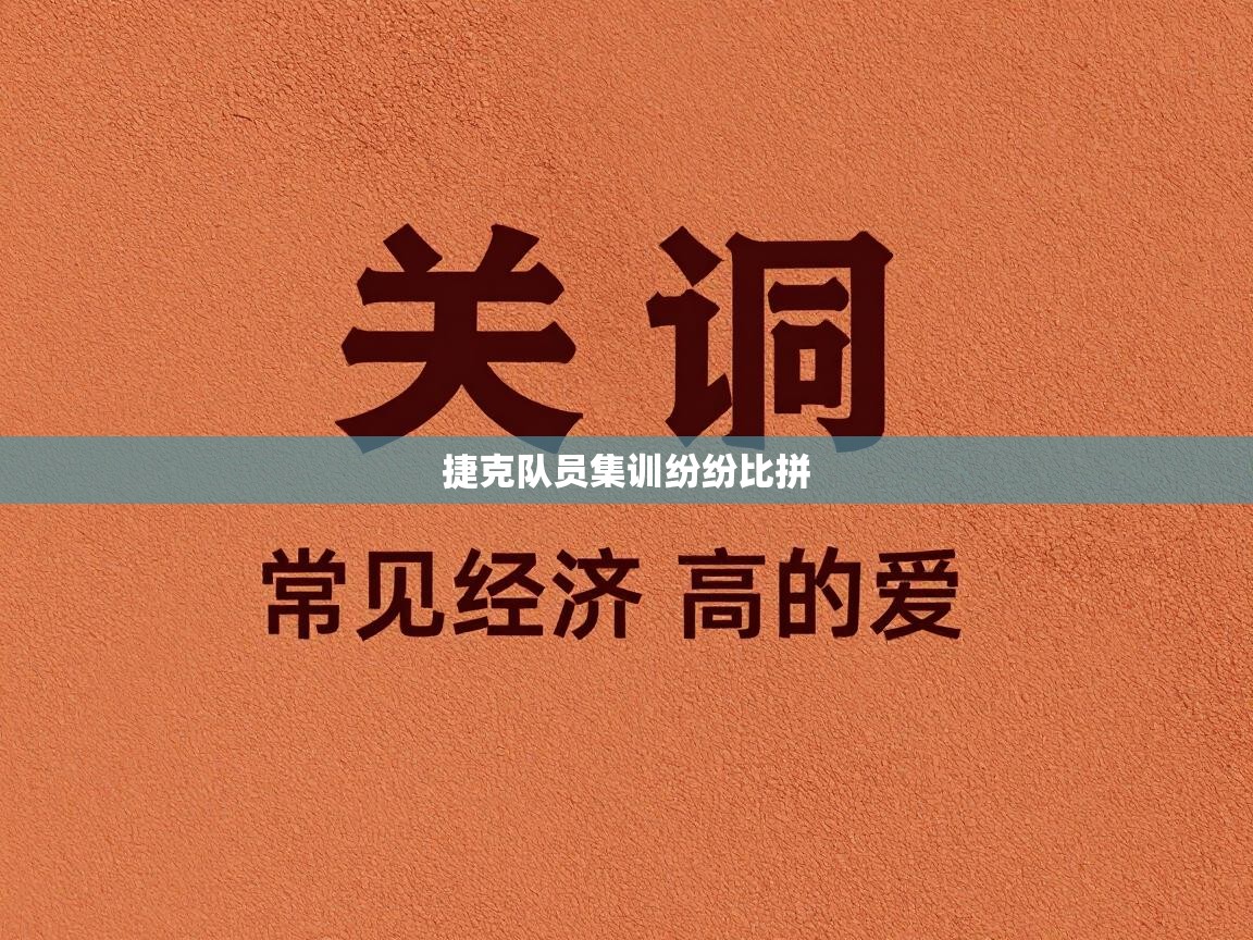 捷克队员集训纷纷比拼  第2张